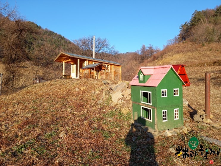 수원도시락 국민도시락 림과 함께 고토원 농장 우체통 친구 어린 양배추