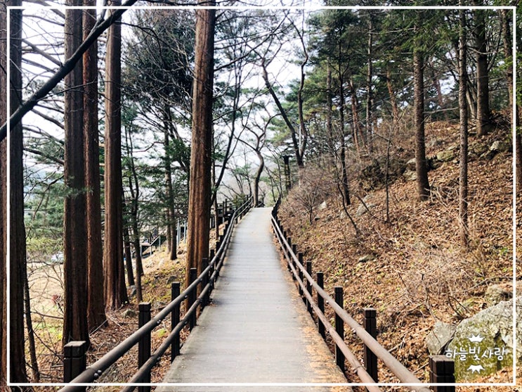  의왕시 청계산 맑은숲 공원 코로나는 잡고 건강은 챙기고