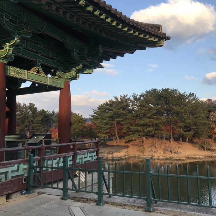  [경주] - 황리단길 아니마, 동궁과월지