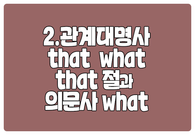 관계대명사 that what 예문 분석