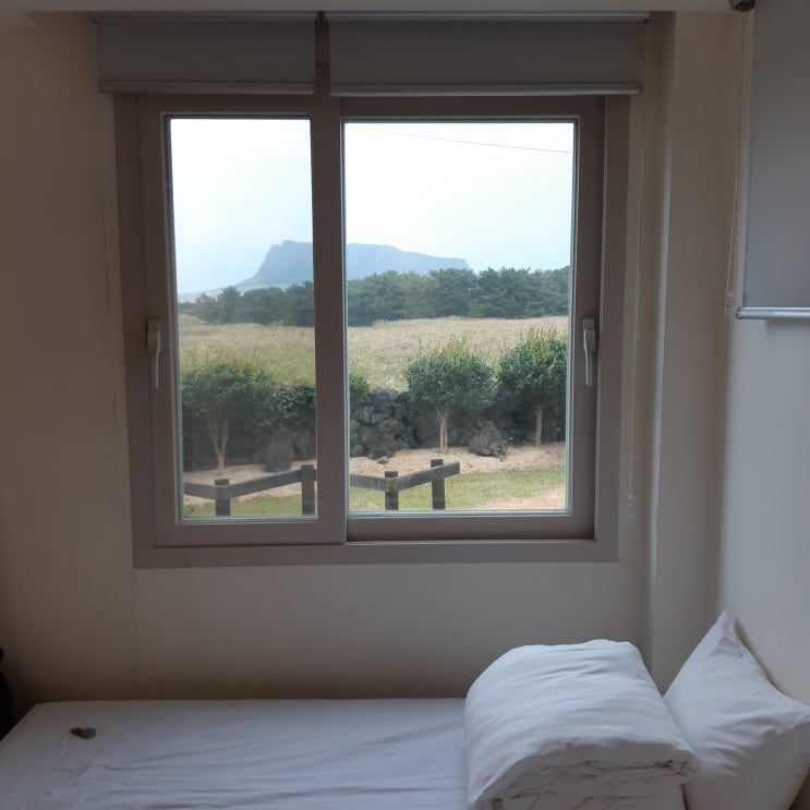  제주도 우도 성산항과 가까운 숙소 오조리비앤비(일출맛집)