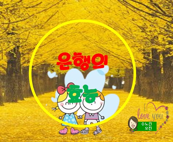  은행의 효능과 부작용과 주의사항입니다.