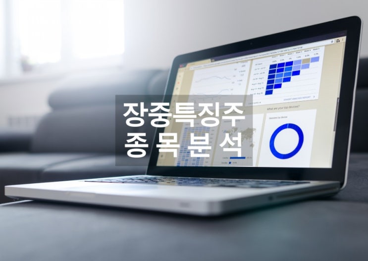  12월8일 주식 장중 특징주 [추천주 관심주 종목추천 관련주] 신고가갱신