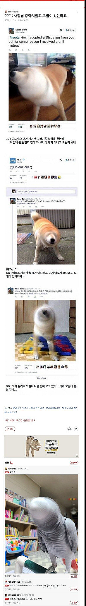  개가 아니고 드릴이 왔는데요...안 꺼져요!!