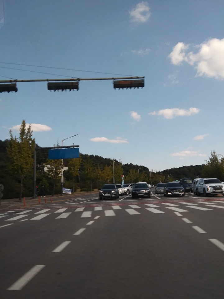 서울 전 지역과 수도권 지역-초보운전자, 방문 운전 도로 운전 연수