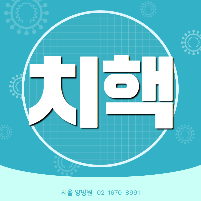 치질 원인 / 비수술 / 병원 / 수술통증 _서울양병원