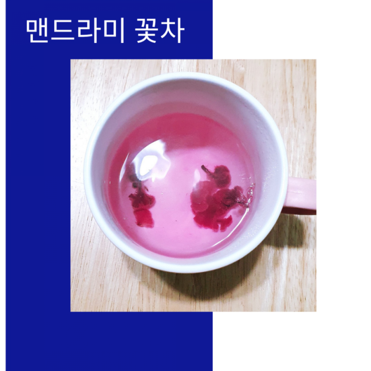  맨드라미와 장미 수제 꽃차-길은 꽃차 선물세트
