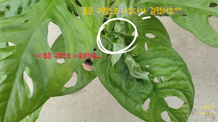  "과습" 예방하는 방법이 있다?!