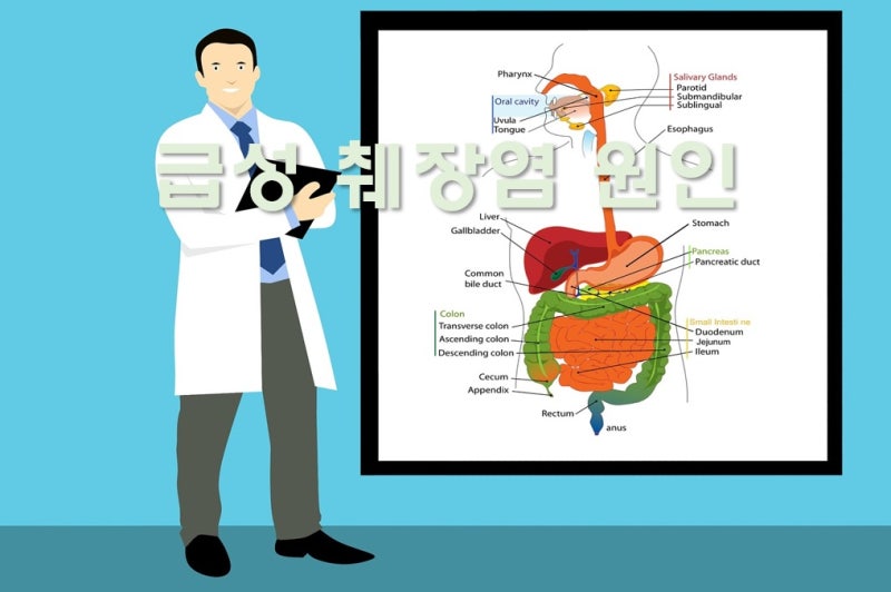 급성 췌장염 증상과 원인 : 네이버 블로그