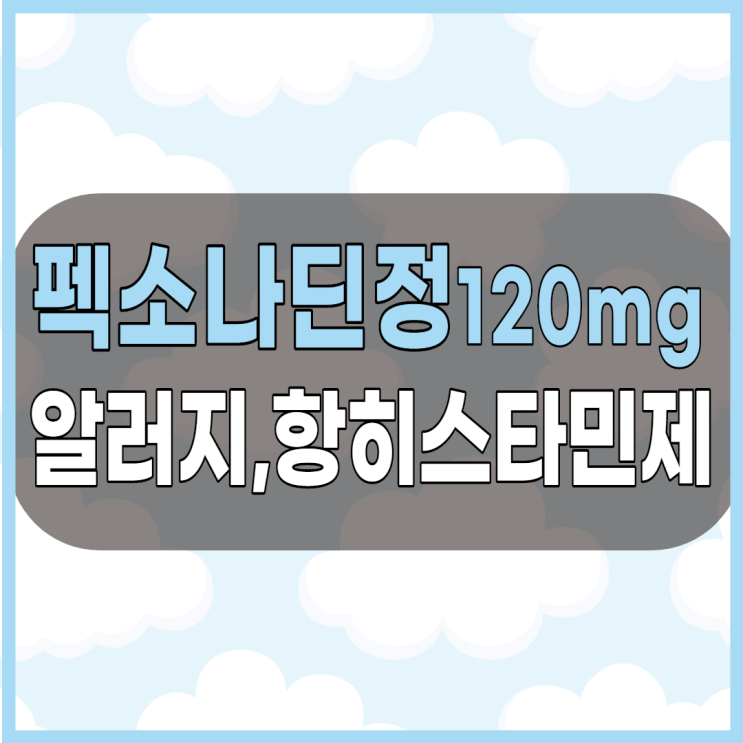  펙소나딘정 120mg 알러지비염 등에 사용하는 항히스타민제