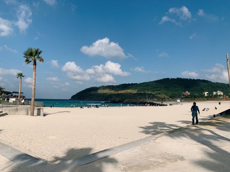  제주도 렌터카 빌리고 추천하는데 다 이유가 있죠!