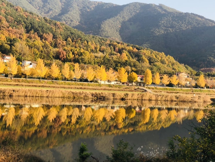  #2. 또 보고싶다