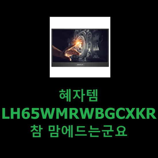 혜자템 LH65WMRWBGCXKR 참 맘에드는군요