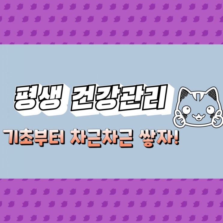  다이어트 + 10일차와 +11일차 +12일차