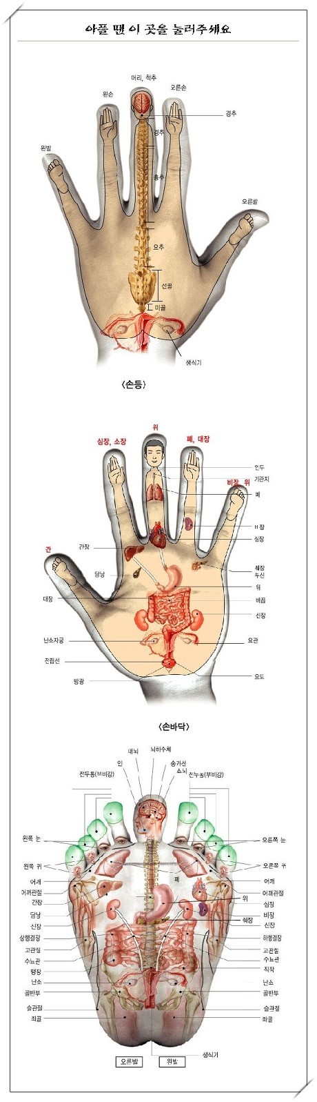  재택근무자,집콕자들을 위한 손마사지방법,아플때 손지압으로 통증완화시키기
