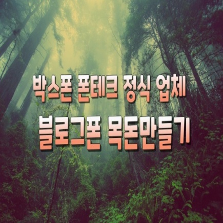  박스폰 폰테크 정식 업체  블로그폰 목돈만들기
