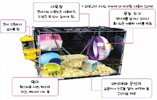  햄스터 키우는데 필요한것들! 어떻게 키울까요?