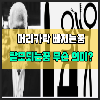 머리빠지는꿈 머리카락빠지는꿈 탈모되는꿈 원형탈모꿈 간단정리
