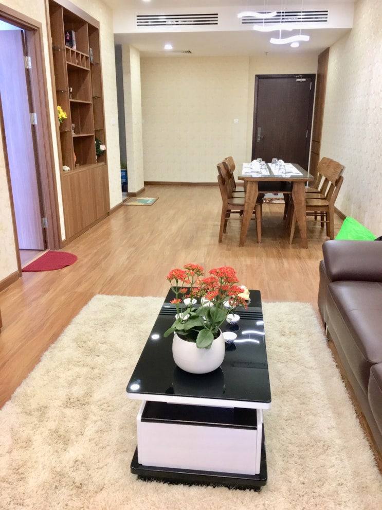  하노이 디스커버리 22층 2룸 풀옵션 1800만동