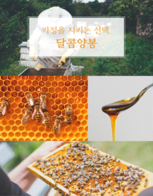  생로얄제리 먹는방법, 달콤양봉에서 배웠어요