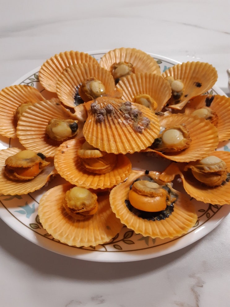  황금가리비 해감 손질 맛있게 찌는법