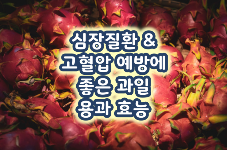 심장질환 & 고혈압 예방에 좋은 과일 용과 효능
