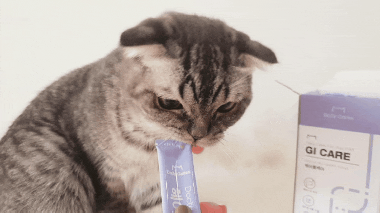  고양이 헤어볼영양제, 변비에 좋은 츄르 닥터바이 고양이소화건강 헤어볼케어
