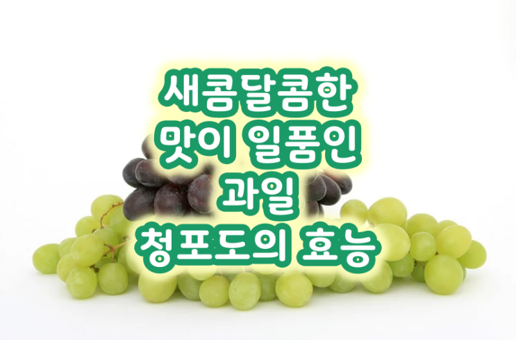  새콤달콤한 맛이 일품인 과일 청포도의 효능