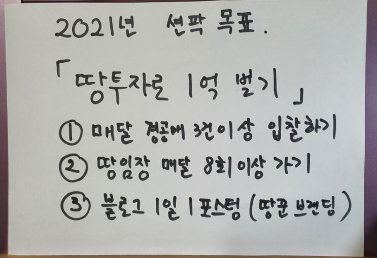  땅투자로 1억 벌기 (ft. 새해 목표를 세우다)