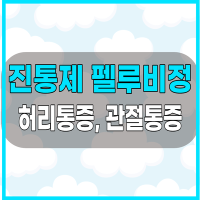 펠루비정 허리통증 등에 사용할 수 있는 효과좋은 소염진통제