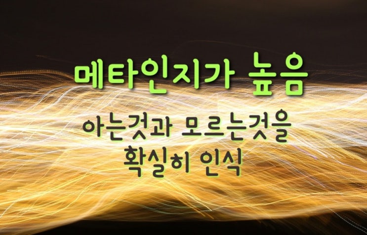  인생 / 메타인지를 높여라     본인이 아는것과 모르는것을 정확히 안다고 생각하나요?