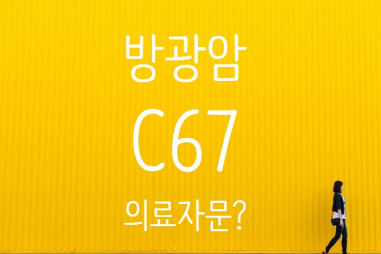  C67.9 방광암비침습 다발성, 재발성 보험