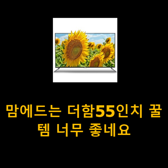 맘에드는 더함55인치 꿀템 너무 좋네요