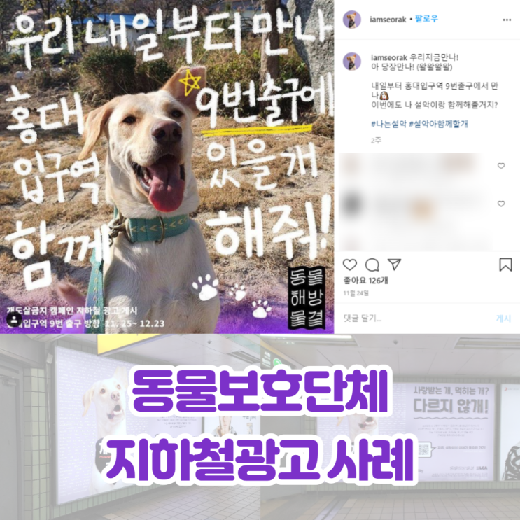  동물보호단체 설악이 지하철 와이드칼라 광고 사례