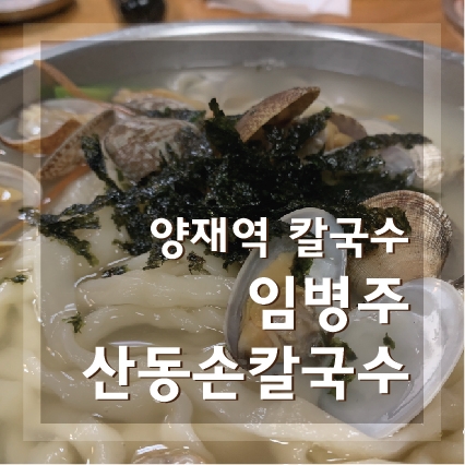  양재역칼국수 임병주산동손칼국수 솔찍 후기