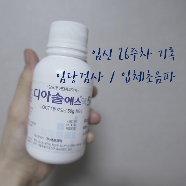  임신 26주차 기록 - 임당검사 통과 임당검사시약 부작용 그리고 입체초음파 실패