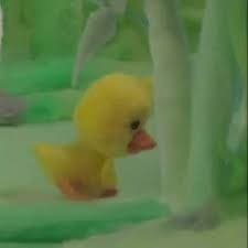 귀여운 오리짤 : 모피와친구들 아기오리🐣너처럼 귀여운 오리는 처음이야🐣 : 네이버 블로그