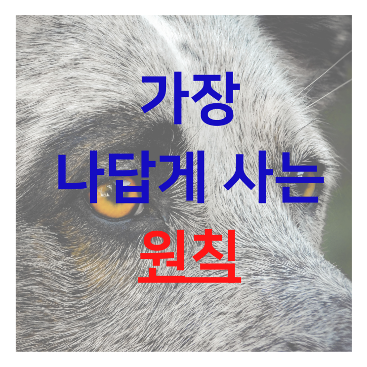  나는 어떻게, 왜 살아야 하는가에 대한 해답 - 라이프코치 황준선님 강의 후기