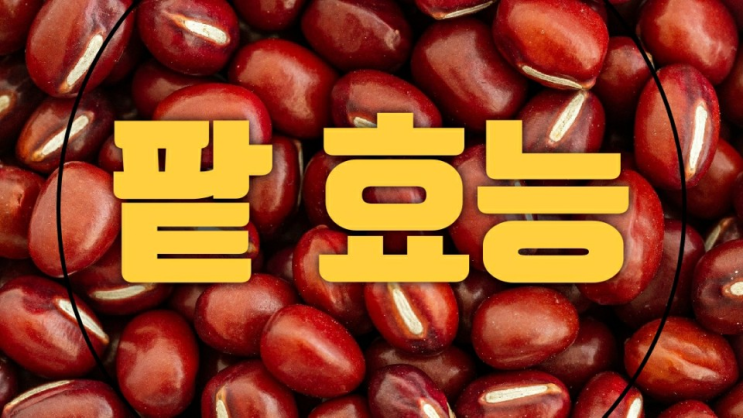  팥효능 알고보니 대단한 식품