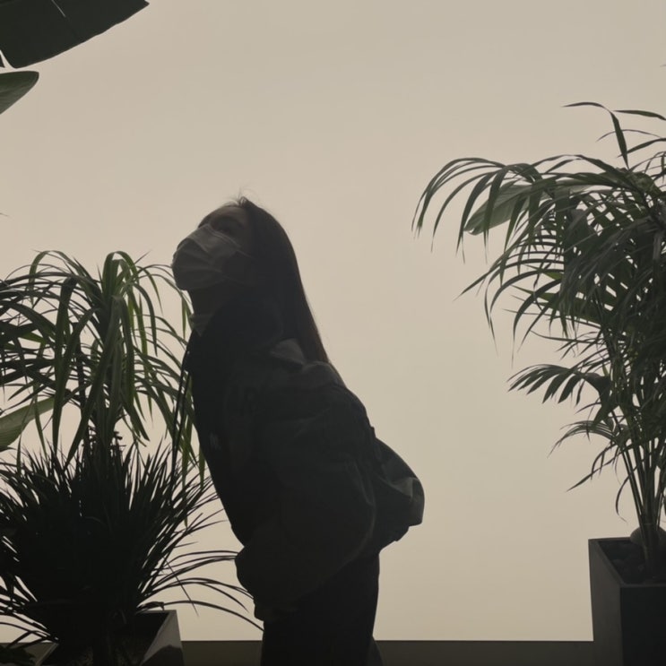  시험
