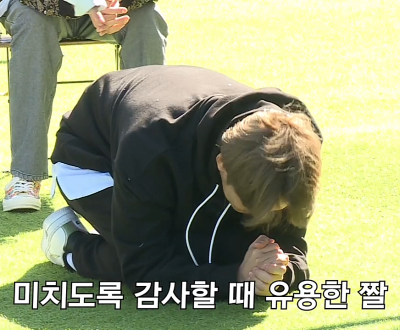 캐럿됨 이미지