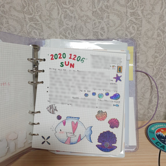 다이어리꾸미기 _ 20201206 데일리 꾸미기 다이어리꾸미기 _ 20201206 데일리 꾸미기