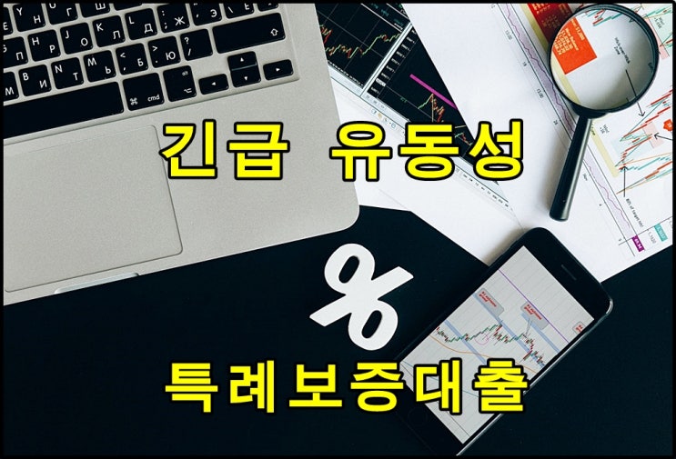  코로나로 1천만원 긴급 유동성 특례보증 대출 자격이 변경되었네요?