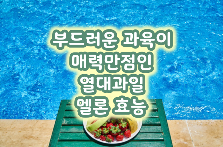  부드러운 과육이 매력만점인 열대과일 멜론 효능