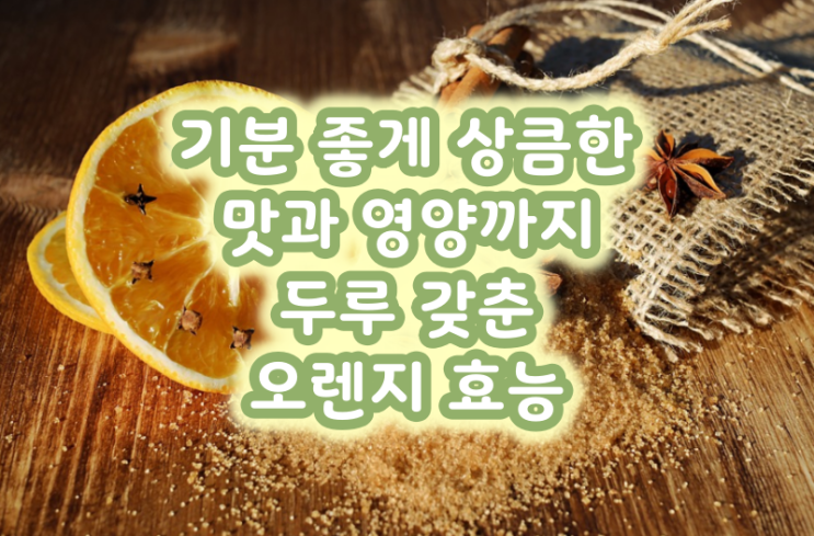  기분 좋게 상큼한 맛과 영양까지 두루 갖춘 오렌지 효능