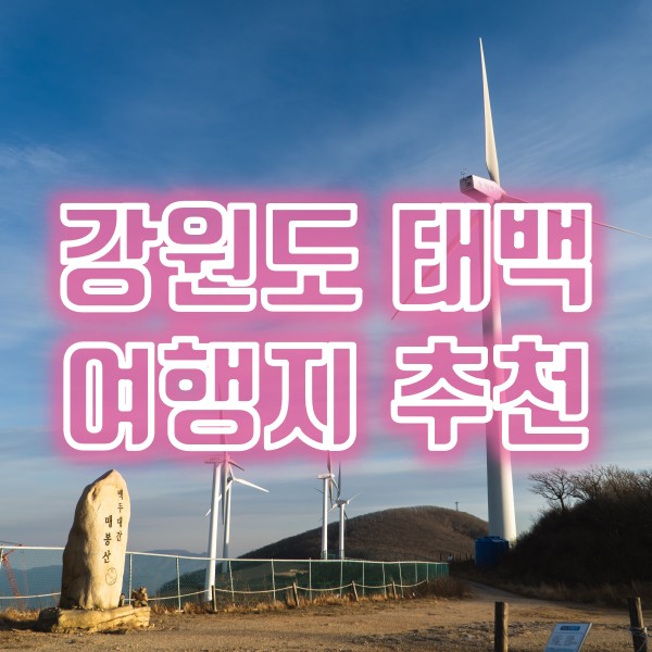  강원도 태백 여행지 추천(추전역, 매봉산 풍력발전단지 바람의언덕, 쌈밥 맛집, 황지자유시장)
