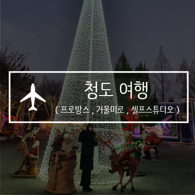  [여행] 청도 프로방스 /청도 가볼만 한 곳 / 청도여행 / 청도 프로방스 빛축제