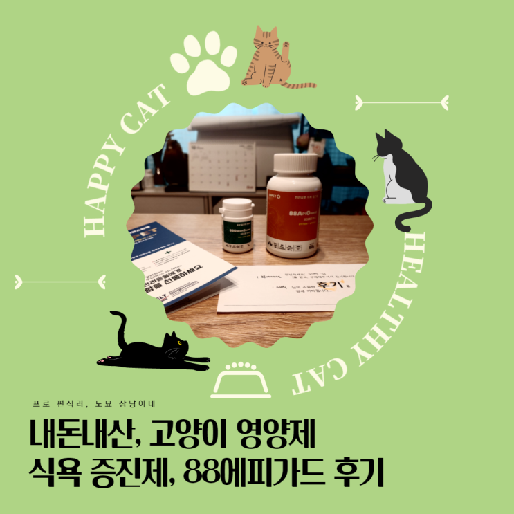 고양이 영양제 추천 : 88에피가드_식욕부진, 고양이가 밥을 안 먹어요 고양이 영양제 추천 : 88에피가드_식욕부진, 고양이가 밥을 안 먹어요