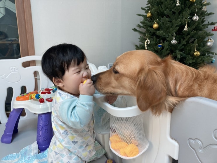  20.12.06 몽&하진