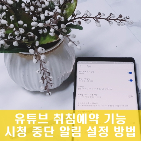 유튜브 취침예약 이렇게 사용하는 거예요